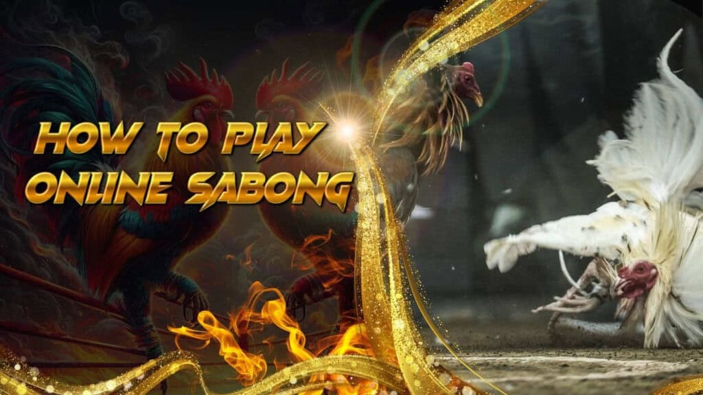 How to Play Online Sabong