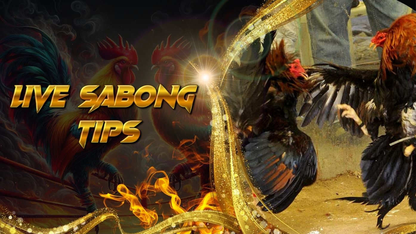 Top 4 Live Sabong Tips | Learn How to Win Your Sabong Bets