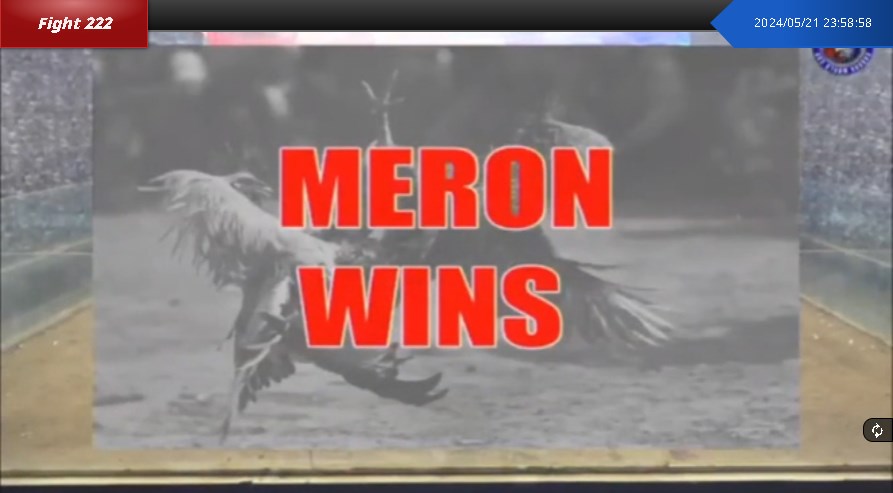 Match Meron Wins