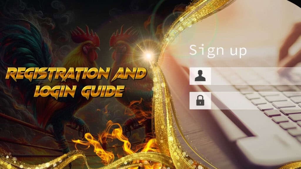 Registration and login guide